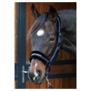 Harrys Horse - Lyrics quotes grime