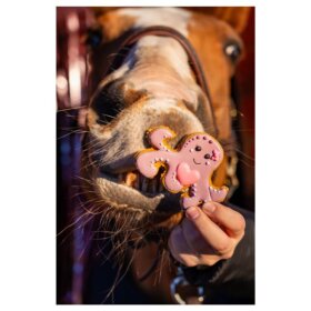 CANDY HORSE - Blæksprutte cookie CANDY HORSE - Blæksprutte cookie