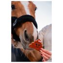 CANDY HORSE - Lorte cookie CANDY HORSE - Lorte cookie