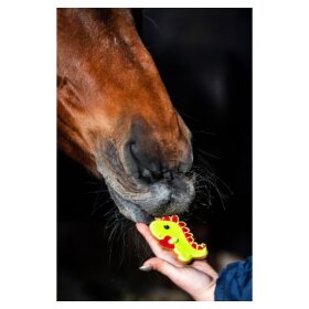 CANDY HORSE - Dino cookie CANDY HORSE - Dino cookie
