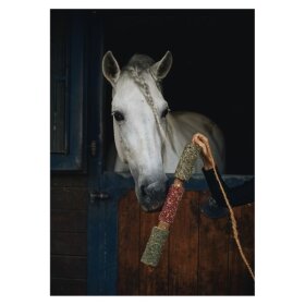 CANDY HORSE - Wooden toy Immuno CANDY HORSE - Wooden toy Immuno