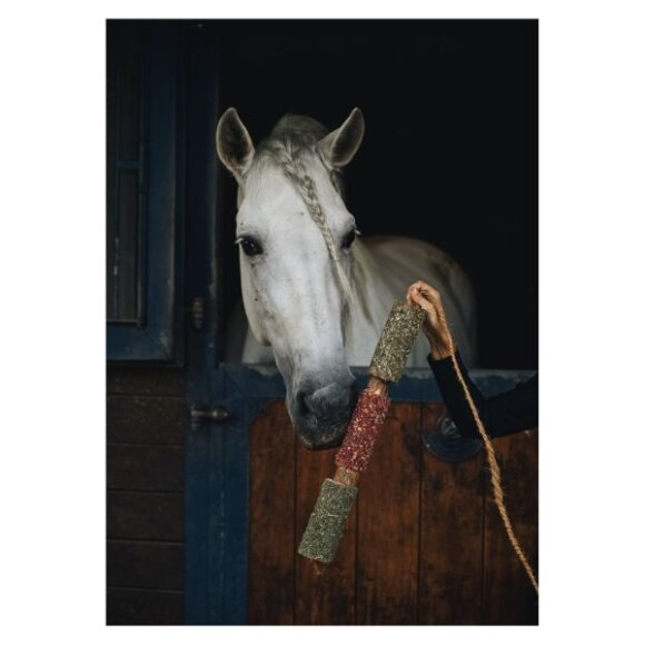 CANDY HORSE - Wooden toy Immuno