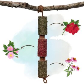 CANDY HORSE - Wooden toy Immuno CANDY HORSE - Wooden toy Immuno