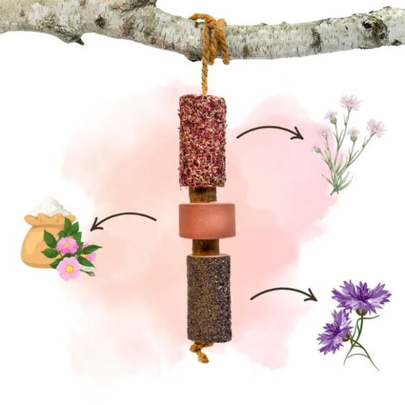 Candy Horse - Wooden toy Tummy