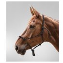 Waldhausen - Rebgrime