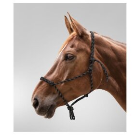 Waldhausen - Rebgrime Waldhausen - Rebgrime