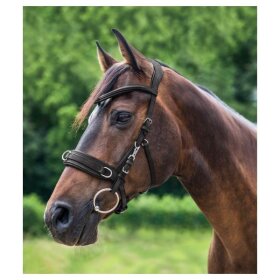 Waldhausen - Læder trense til longering 