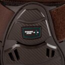 Acavallo - Skeleton dynamic zone fetlock