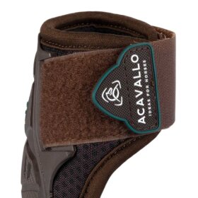 Acavallo - Skeleton dynamic zone fetlock