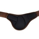 Acavallo - Skeleton dynamic zone fetlock