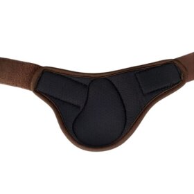 Acavallo - Skeleton dynamic zone fetlock