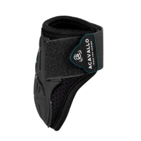 Acavallo - Skeleton dynamic zone fetlock