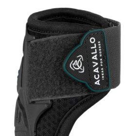 Acavallo - Skeleton dynamic zone fetlock