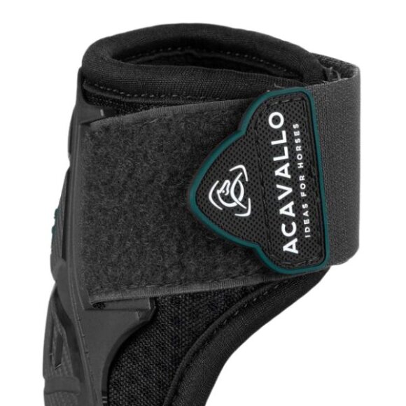 Acavallo - Skeleton dynamic zone fetlock