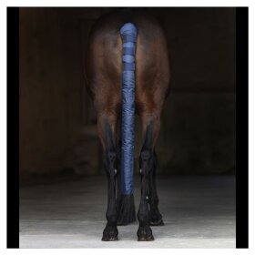 Hansbo Sport - Hansbo halepose