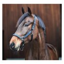 Catago - Alea grime med reflekterende logo