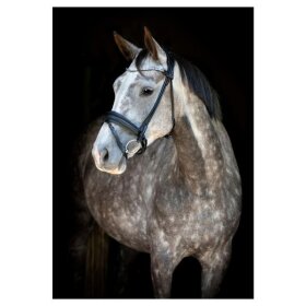 Catago - Nival 26.1 rundsyet trense med tilbagetræk