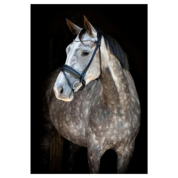 Catago - Nival 26.1 rundsyet trense med tilbagetræk