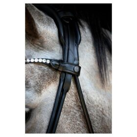 Catago - Nival 26.1 rundsyet trense med tilbagetræk