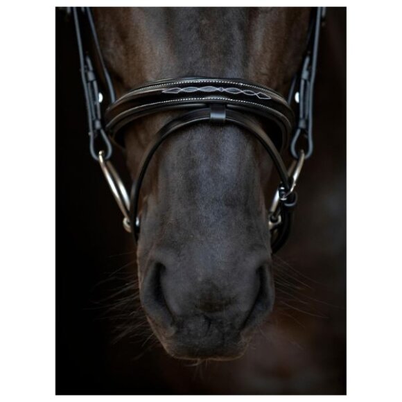 Catago - Torina trense