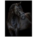 Catago - Torina trense