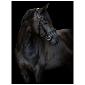 Catago - Torina trense