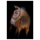 HorseGuard - Bidløs trense HorseGuard - Bidløs trense