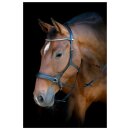 HorseGuard - Bidløs trense HorseGuard - Bidløs trense