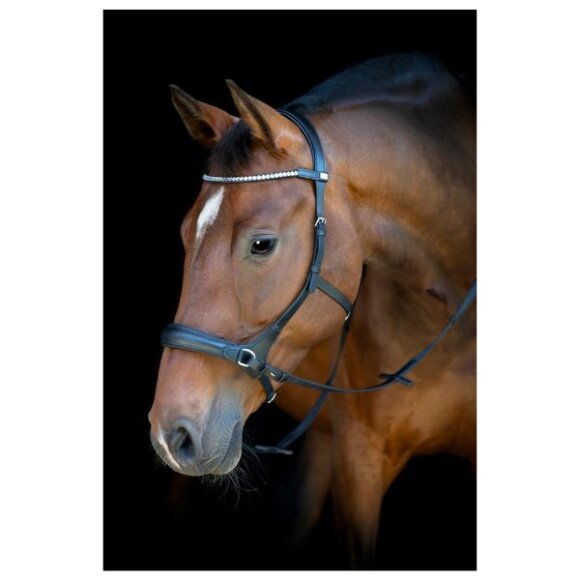 HorseGuard - Bidløs trense