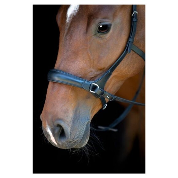 HorseGuard - Bidløs trense