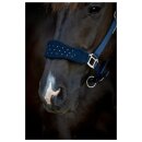 HorseGuard - Anabel grime