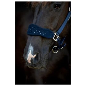 HorseGuard - Anabel grime HorseGuard - Anabel grime