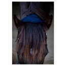 HorseGuard - Anabel grime