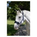 HorseGuard - Anabel grime