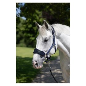 HorseGuard - Anabel grime HorseGuard - Anabel grime