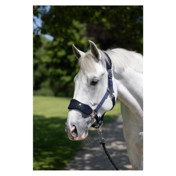 HorseGuard - Anabel grime