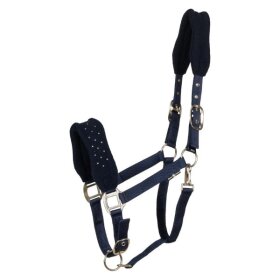 HorseGuard - Anabel grime HorseGuard - Anabel grime