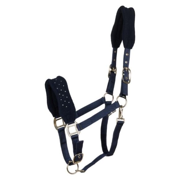 HorseGuard - Anabel grime