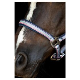 HorseGuard - Mascha grime HorseGuard - Mascha grime