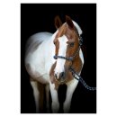 HorseGuard - Rebgrime med træktov HorseGuard - Rebgrime med træktov