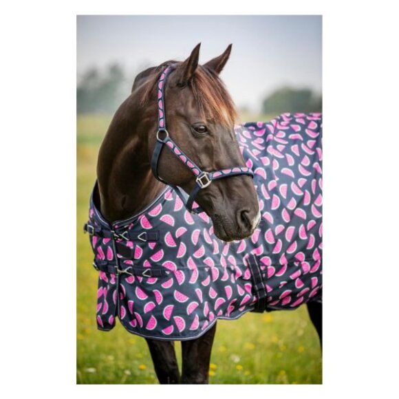 HorseGuard - Melon turnout dækken 0 g
