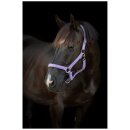 HorseGuard - Malva grime - Pretty Girl