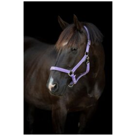 HorseGuard - Malva grime - Pretty Girl