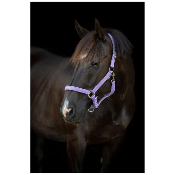 HorseGuard - Malva grime - Pretty Girl