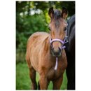 HorseGuard - Malva følgrime HorseGuard - Malva følgrime