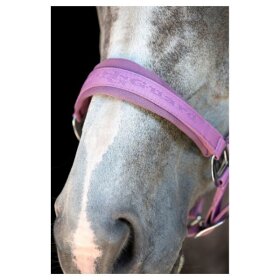 HorseGuard - Diya 2.0 grime