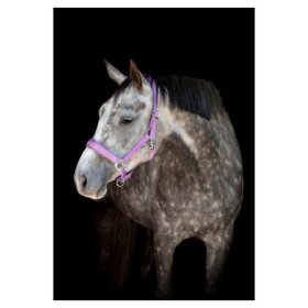 HorseGuard - Diya 2.0 grime