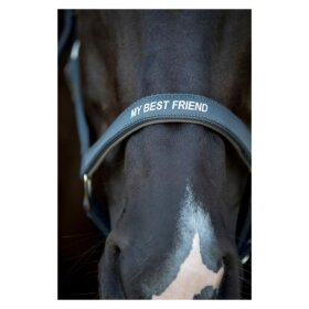 HorseGuard - Malva grime