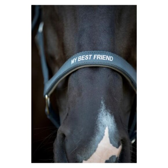 HorseGuard - Malva grime