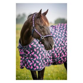 HorseGuard - Melon grime